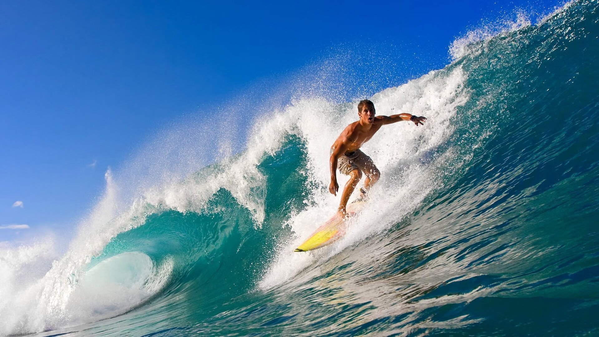 【精彩瞬间】运动员如何在关键时刻调整战术？，运动员如何在比赛中控制自己的冲动性